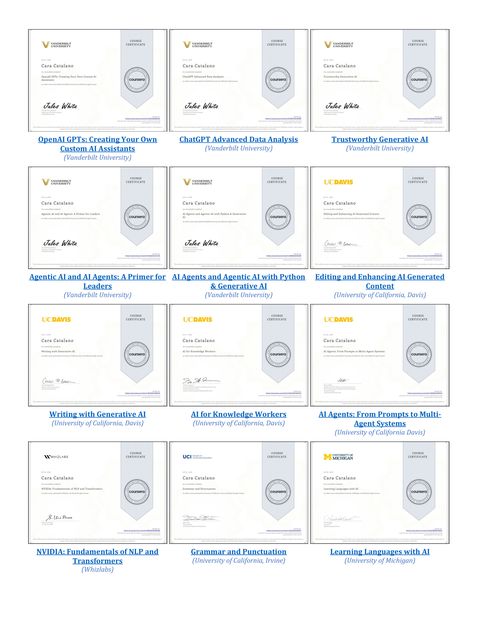 Certificate portfolio page 4